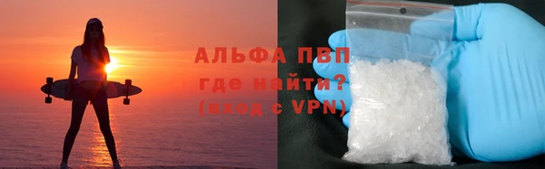 амф Аркадак