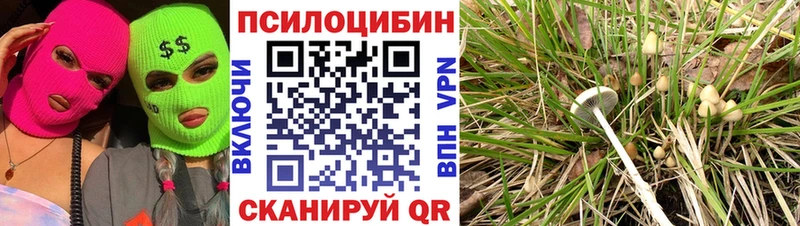 Псилоцибиновые грибы Psilocybe  где купить наркоту  Нязепетровск 